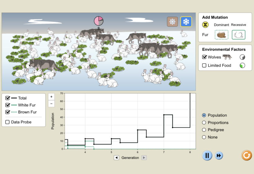 A simulation from PhET Interactive on Natural Selection, allowing students to visualize a population of rabbits over time.